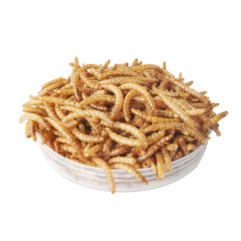 Food Snacks High In Protein - Eiwitrijke snacks voor hamsters, vogels, egels,